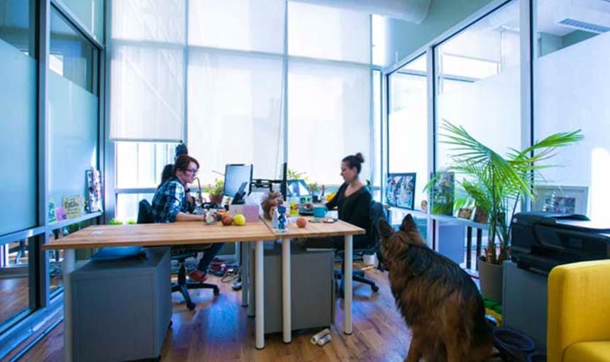 Greendesk Office