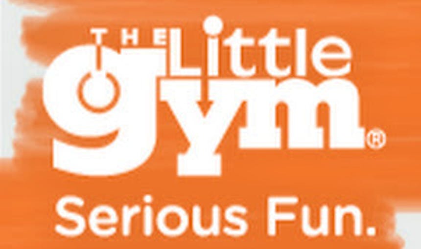 Little Gym