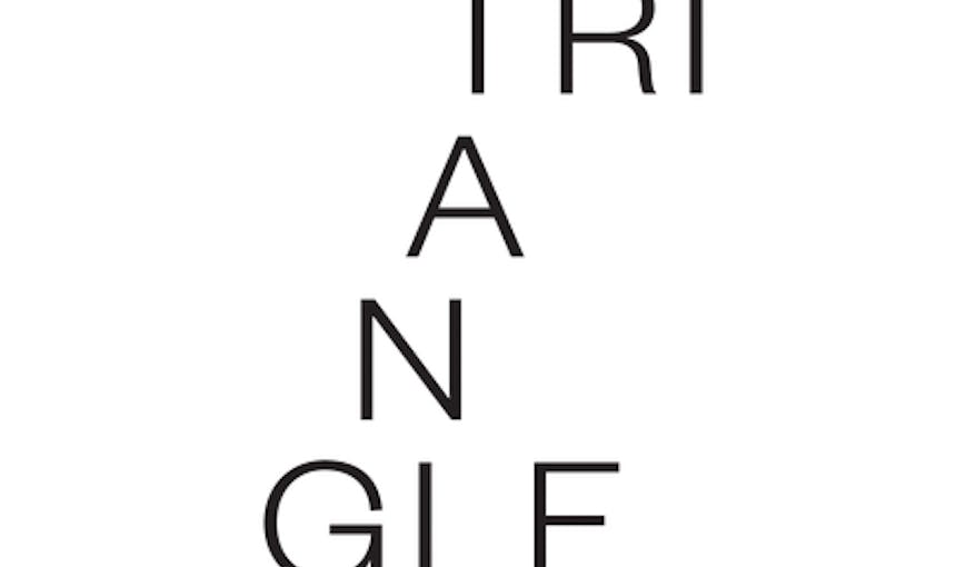 Triangle Logo